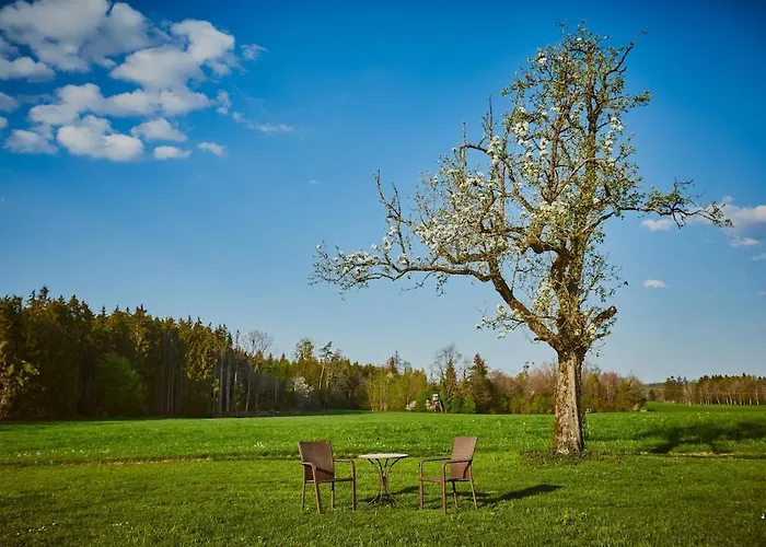 Himmelferien And Wonderful Garden * Hergensweiler