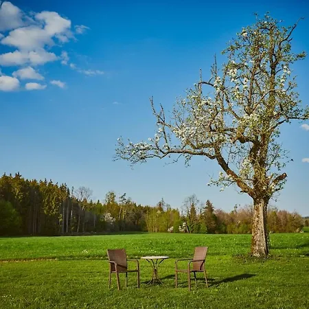 Himmelferien And Wonderful Garden * Hergensweiler